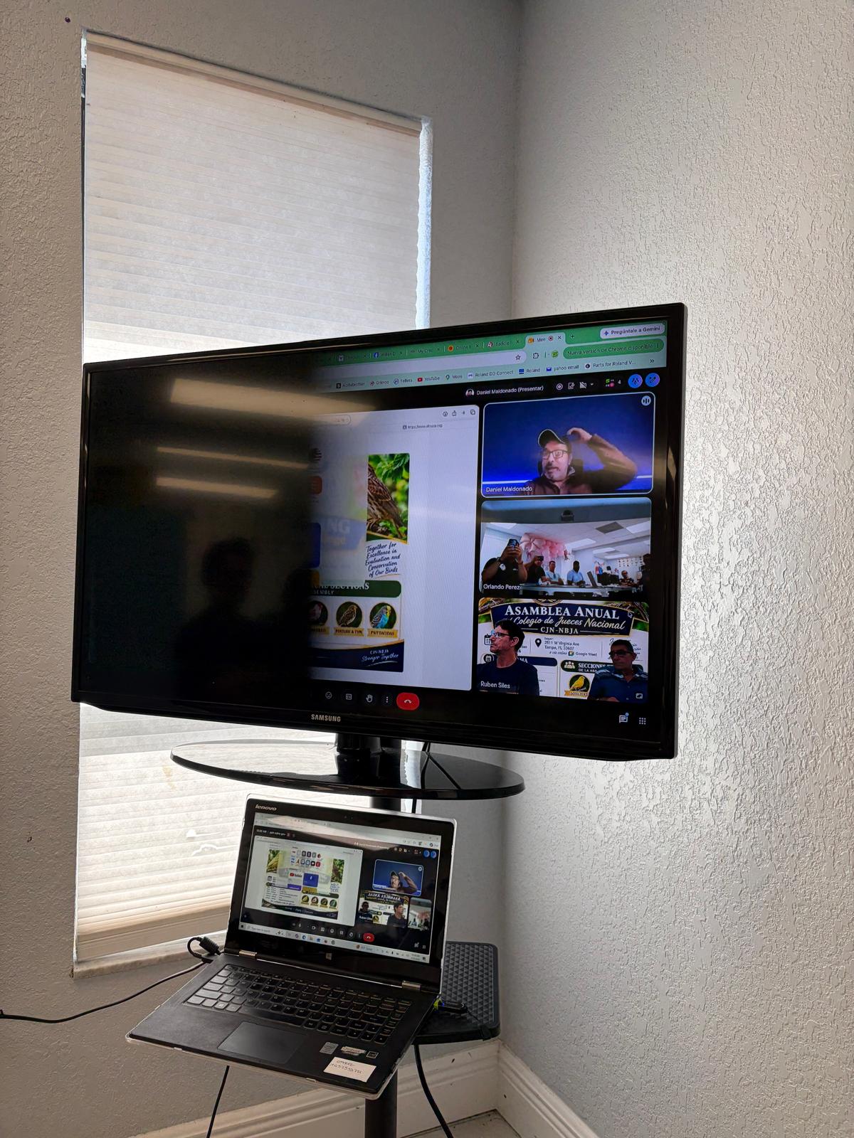 TV